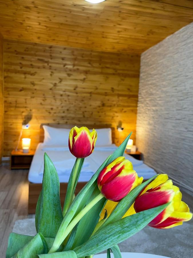 Somogyi Vendeghaz Bed and Breakfast Bancu Exteriör bild